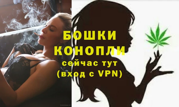 PSILOCYBIN Верея
