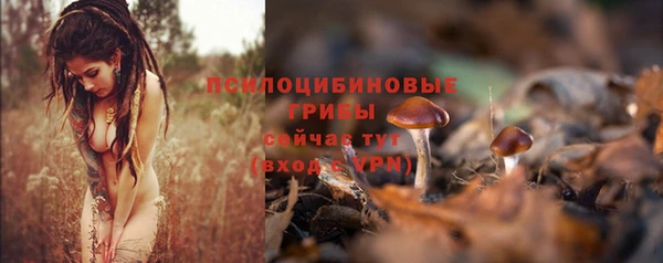 PSILOCYBIN Верея