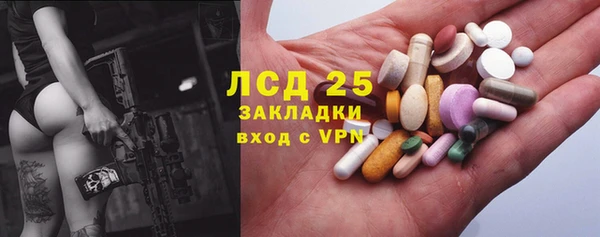 PSILOCYBIN Верея