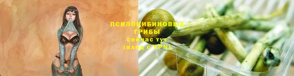 PSILOCYBIN Верея