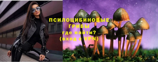 кокс Ростов