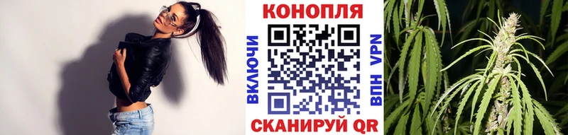дарнет шоп Гатчина KRAKEN онион Каннабис индика
